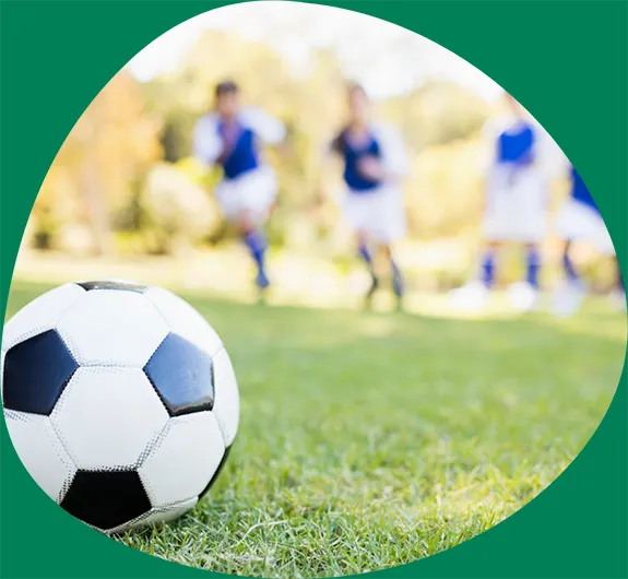 ReservasCampillos.com